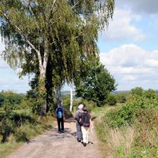 Knopenlopen in Limburg: een voorjaarswandeling vanuit Kasteel Wolfrath